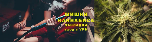 индика Волоколамск