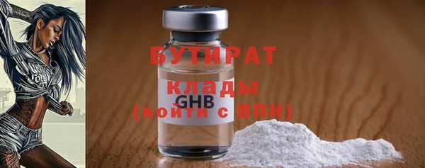 гидра Богданович