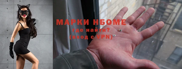 индика Волоколамск