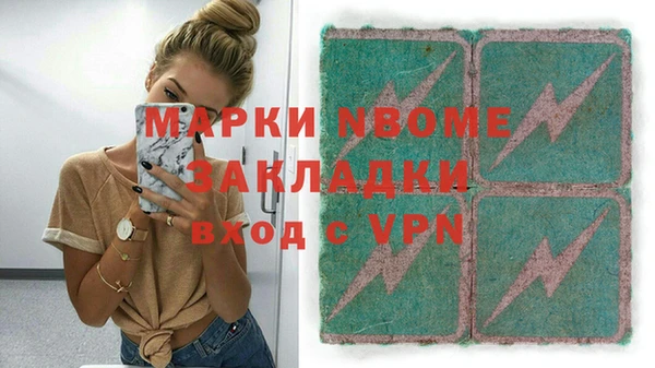 ГАЛЛЮЦИНОГЕННЫЕ ГРИБЫ Верея