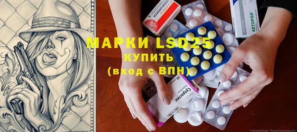 ГАЛЛЮЦИНОГЕННЫЕ ГРИБЫ Верея
