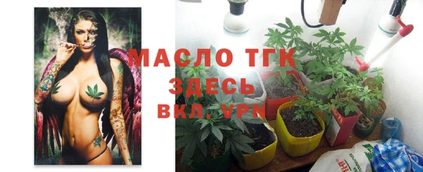 индика Волоколамск