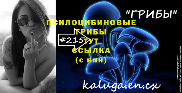 ешки Володарск