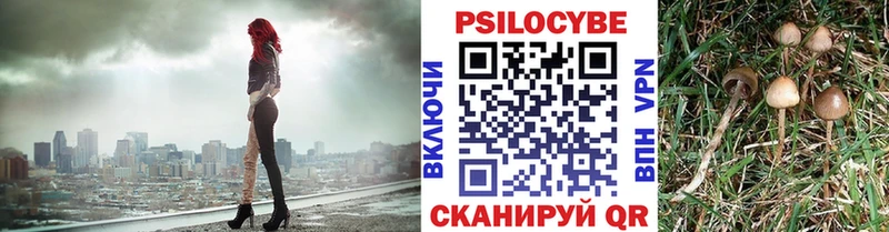 где продают наркотики  Жигулёвск  Псилоцибиновые грибы Psilocybine cubensis 